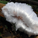 Illustration for article titled Why Does This Ice Look Exactly Like Hair